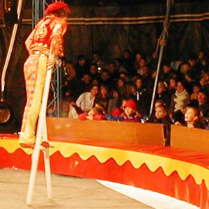 клоун ходулист на менеже цирка