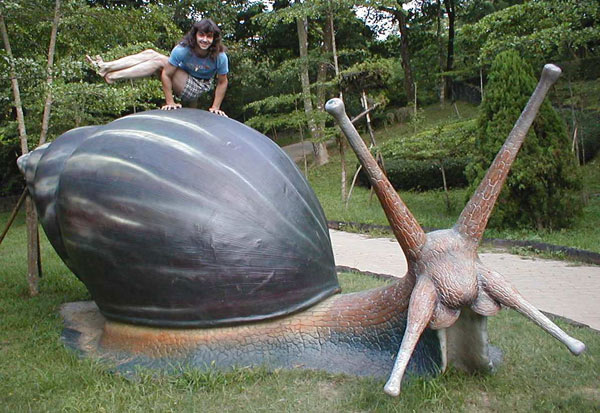 бальшая улитка