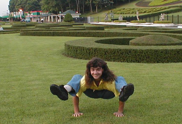 смтойка клушника