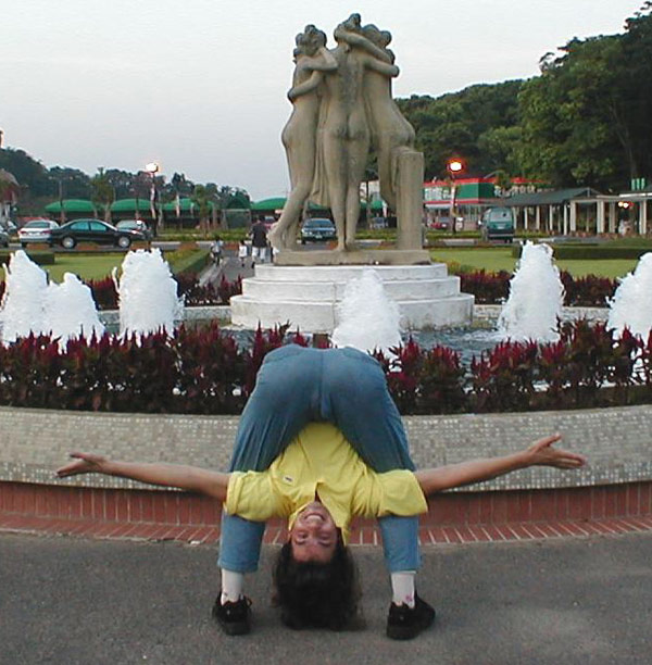 акробатическая складка