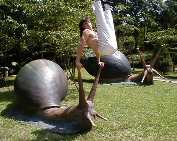 большая улитка и актобатиская стойка